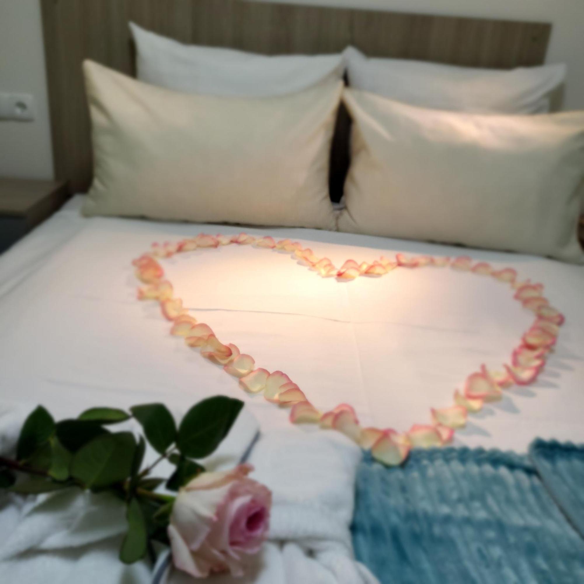 Kameralny Aparthotel Elegante Wladyslawowo - Adults Only Εξωτερικό φωτογραφία