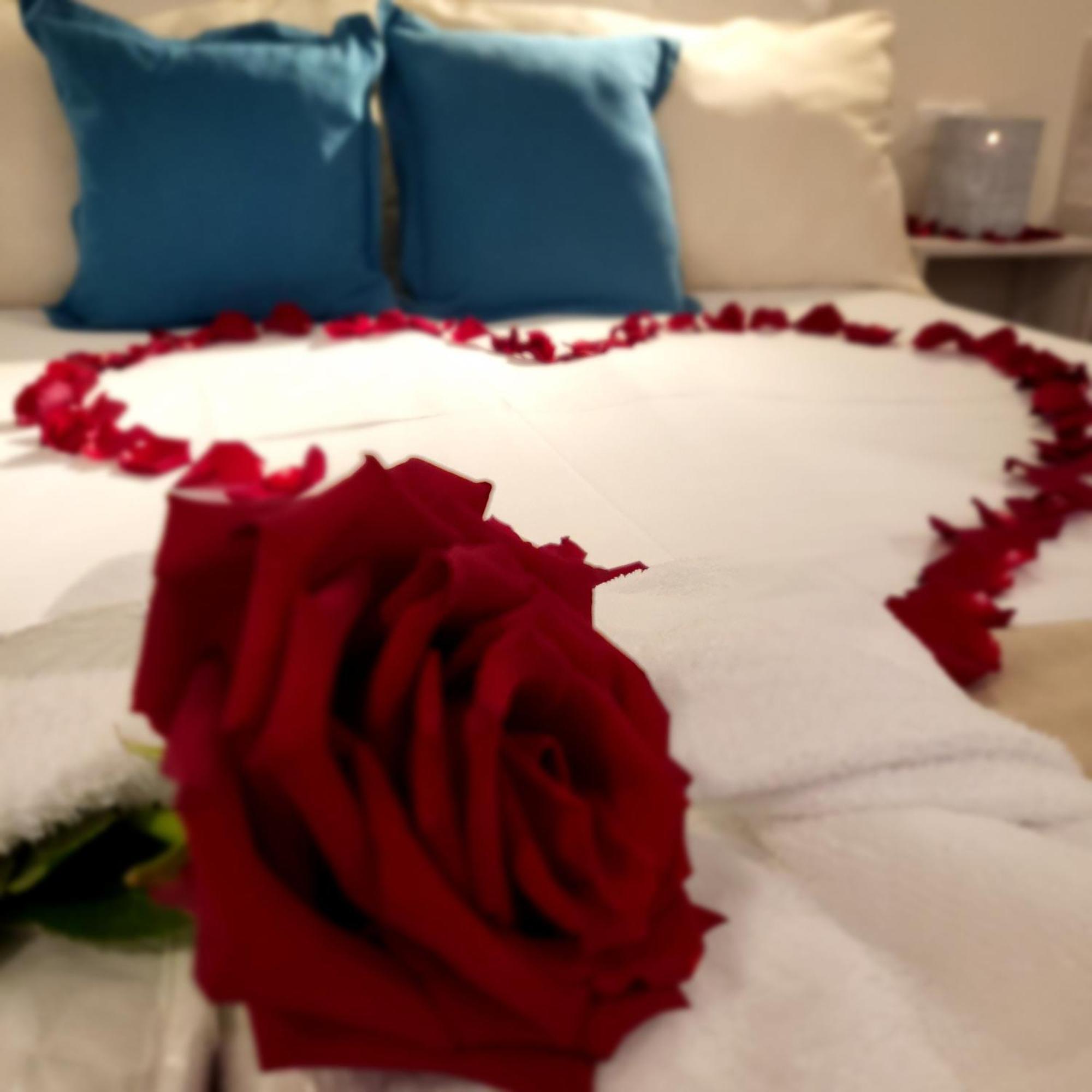 Kameralny Aparthotel Elegante Wladyslawowo - Adults Only Εξωτερικό φωτογραφία